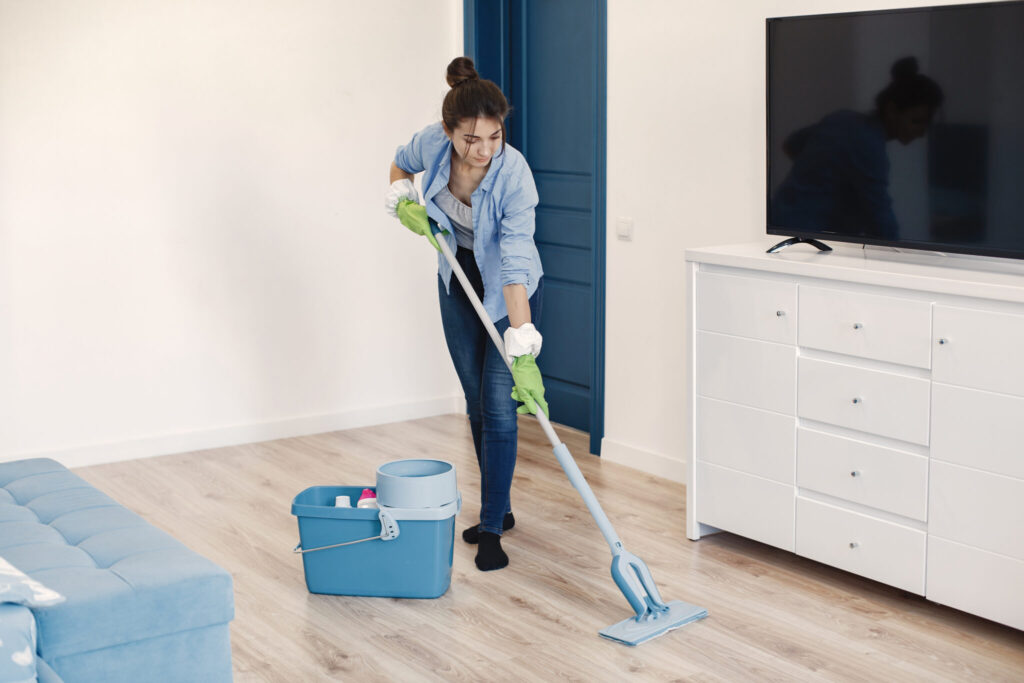 House Cleaning Templeogue